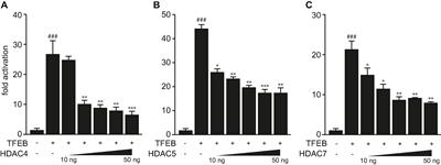 Activation of Tripartite Motif Containing 63 Expression by Transcription Factor EB and Transcription Factor Binding to Immunoglobulin Heavy Chain Enhancer 3 Is Regulated by Protein Kinase D and Class IIa Histone Deacetylases